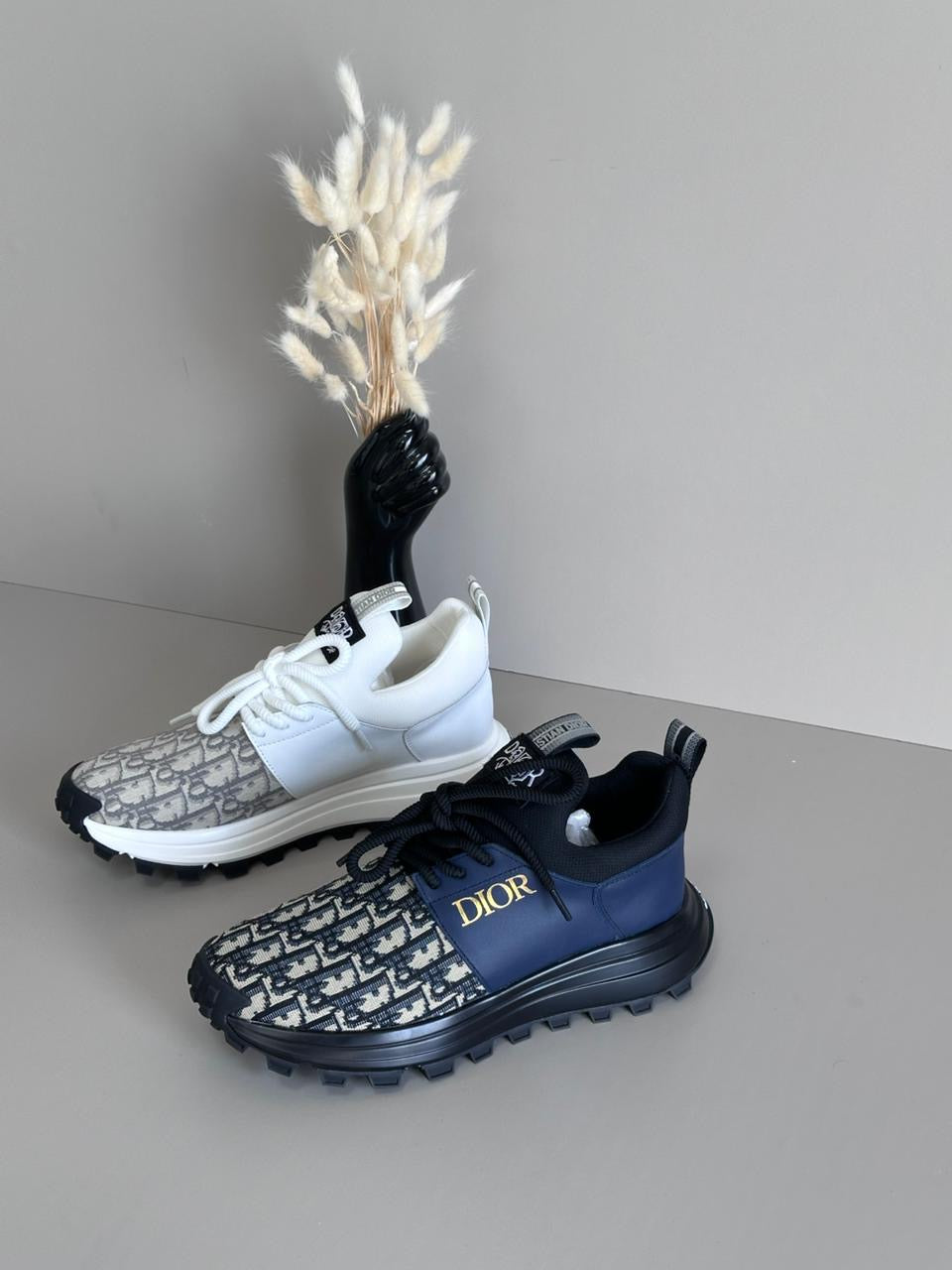 Dior Sneakers 2 colors