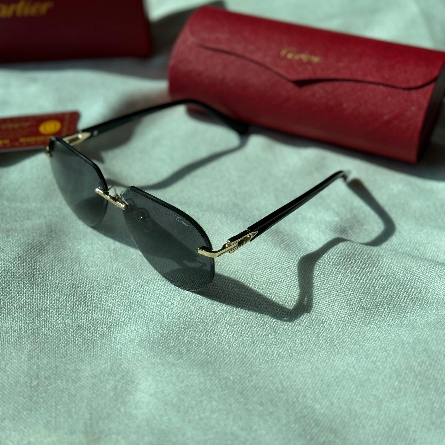 Carier Sunglasses