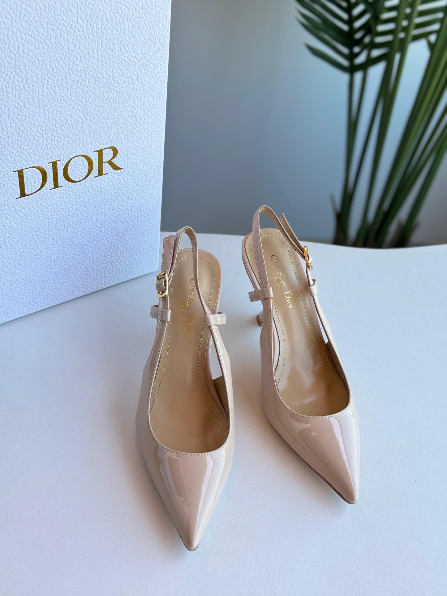 Dior Heels