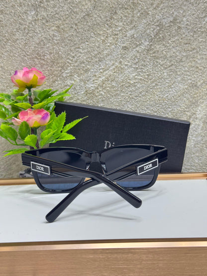 Dior Sunglasses 2 colors