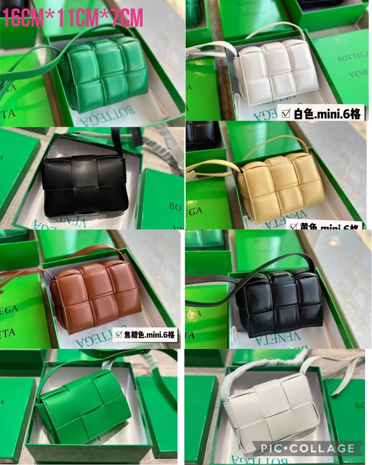 Bottega Mini Bag 5 colors