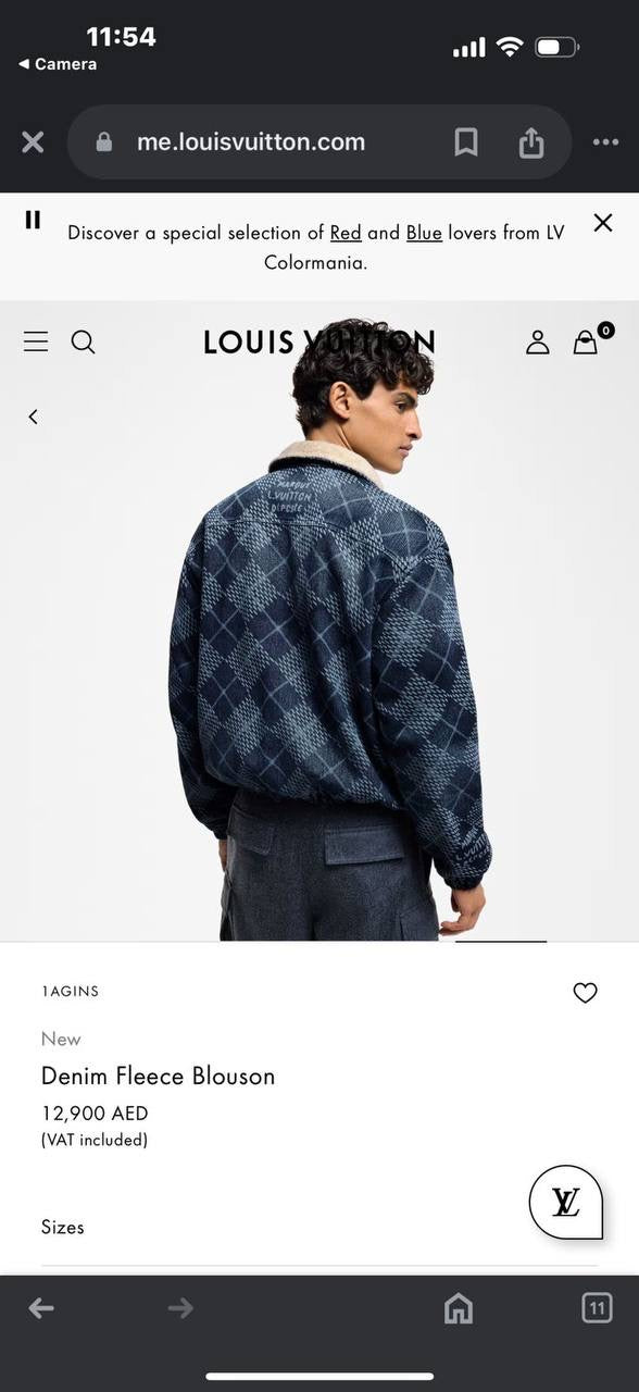 Louis Vuitton Jacket