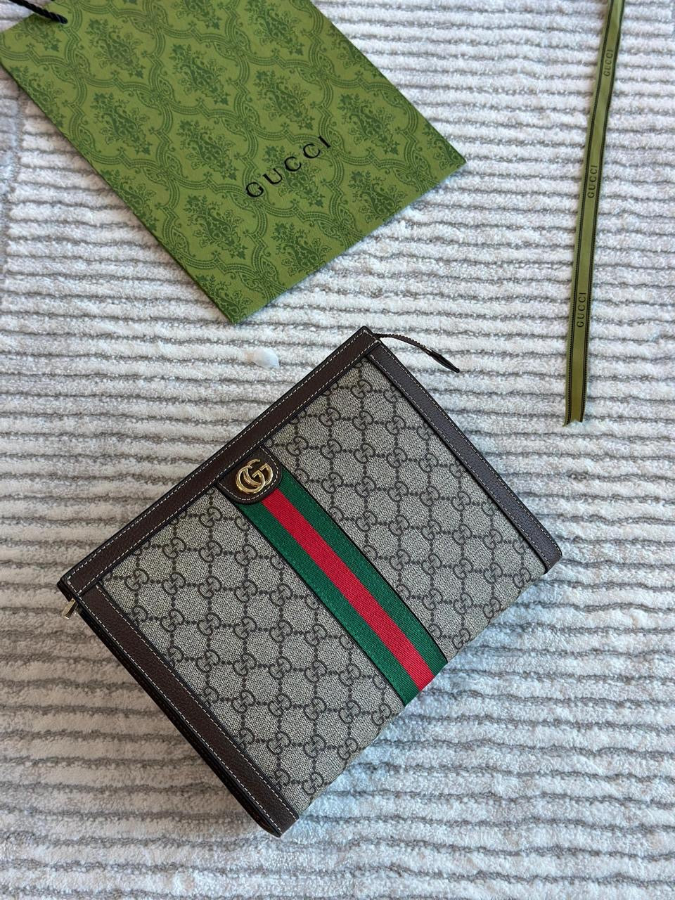 Gucci Pouch 3 colors