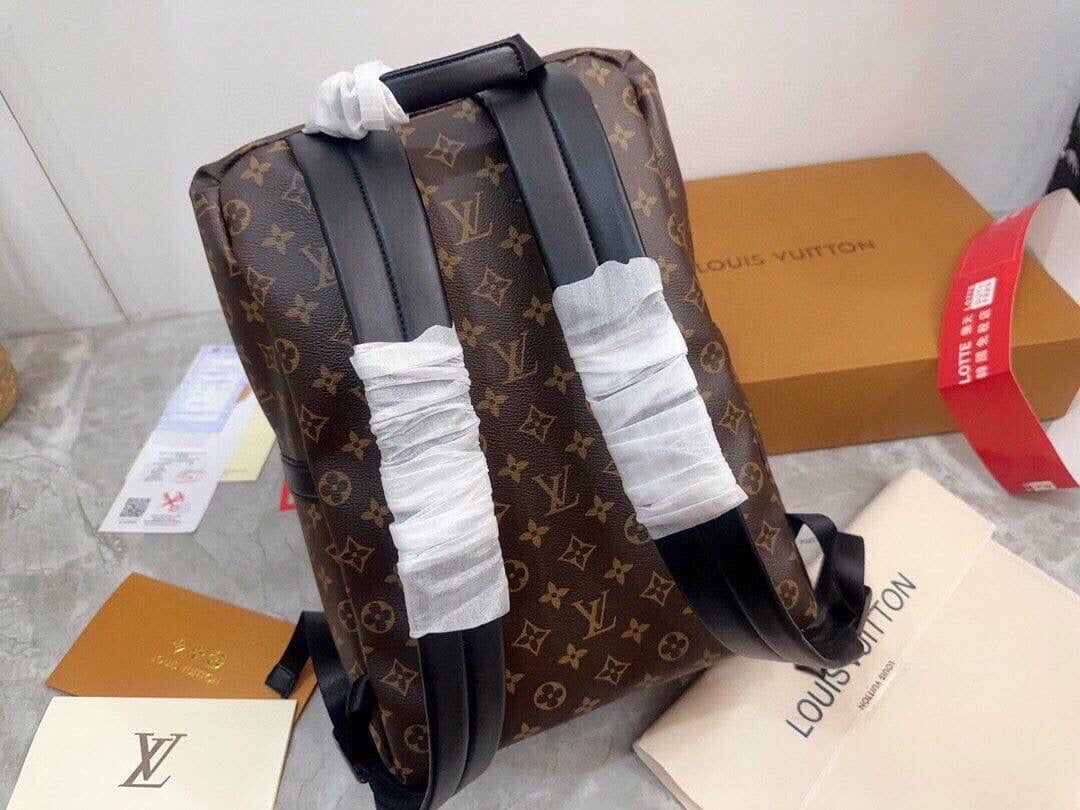 Louis vuitton Backpack 3 colors