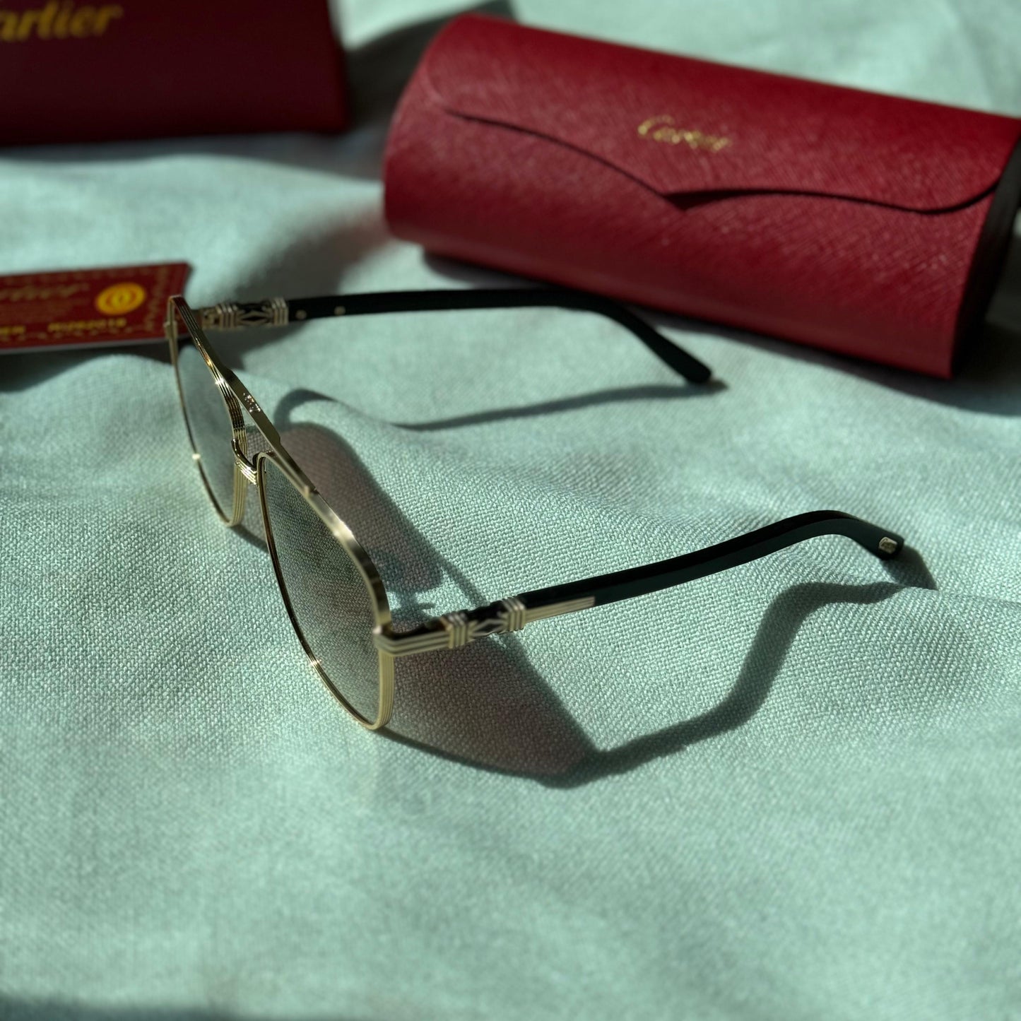 Carier Sunglasses 2 colors