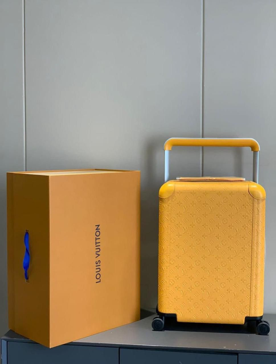 Louis Vuitton Trolly Suitcase