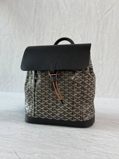 Goyard Backpack (vip)